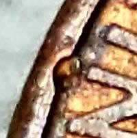 1995-D-Lincoln-Raised-Plating-Under-Ty-Of-Liberty-On-Obverse?